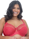 B2498 Carmen: TEABERRY
